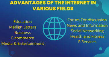 ADVANTAGES OF THE INTERNET IN VARIOUS FIELDS