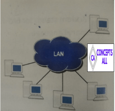 Local Area Network