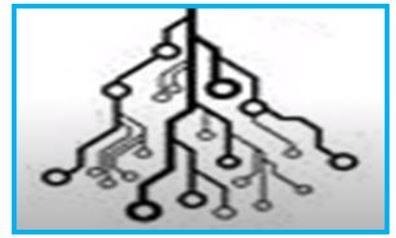 Dns Structure