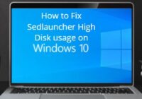 Sedlauncher High Disk usage on Windows 10