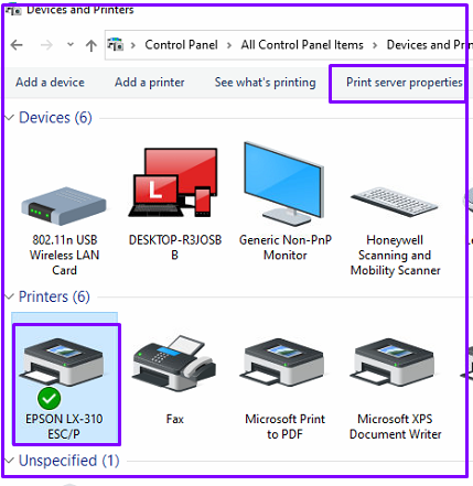 Select Epson Printer and Click on Print Server Properties on TOP panel