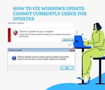 Windows Update currently cannot check for updates