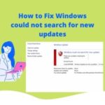 Windows could not search for new updates