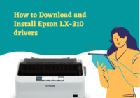 Download and Install Epson LX-310 drivers