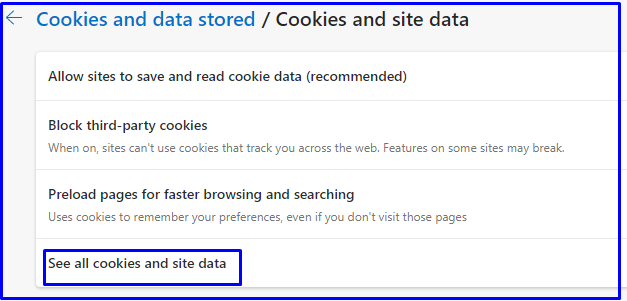 see all cookies and site data options