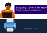 The Printer couldn't print this document error printing on Epson
