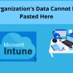 your organization's data cannot be pasted here