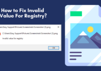 Invalid Value For Registry